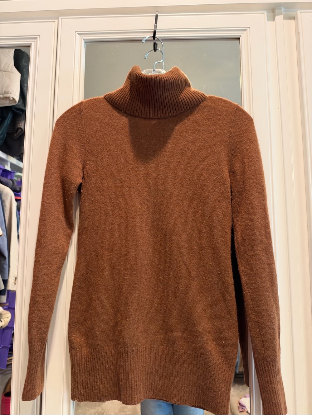 J. Crew Collection Celeste Cashmere Turtleneck